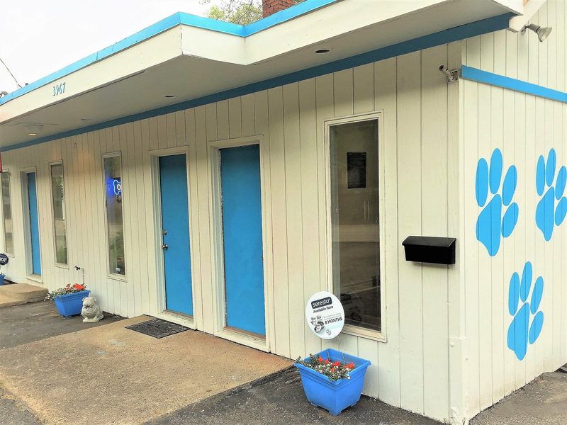 Spay Neuter Clinic North Hills