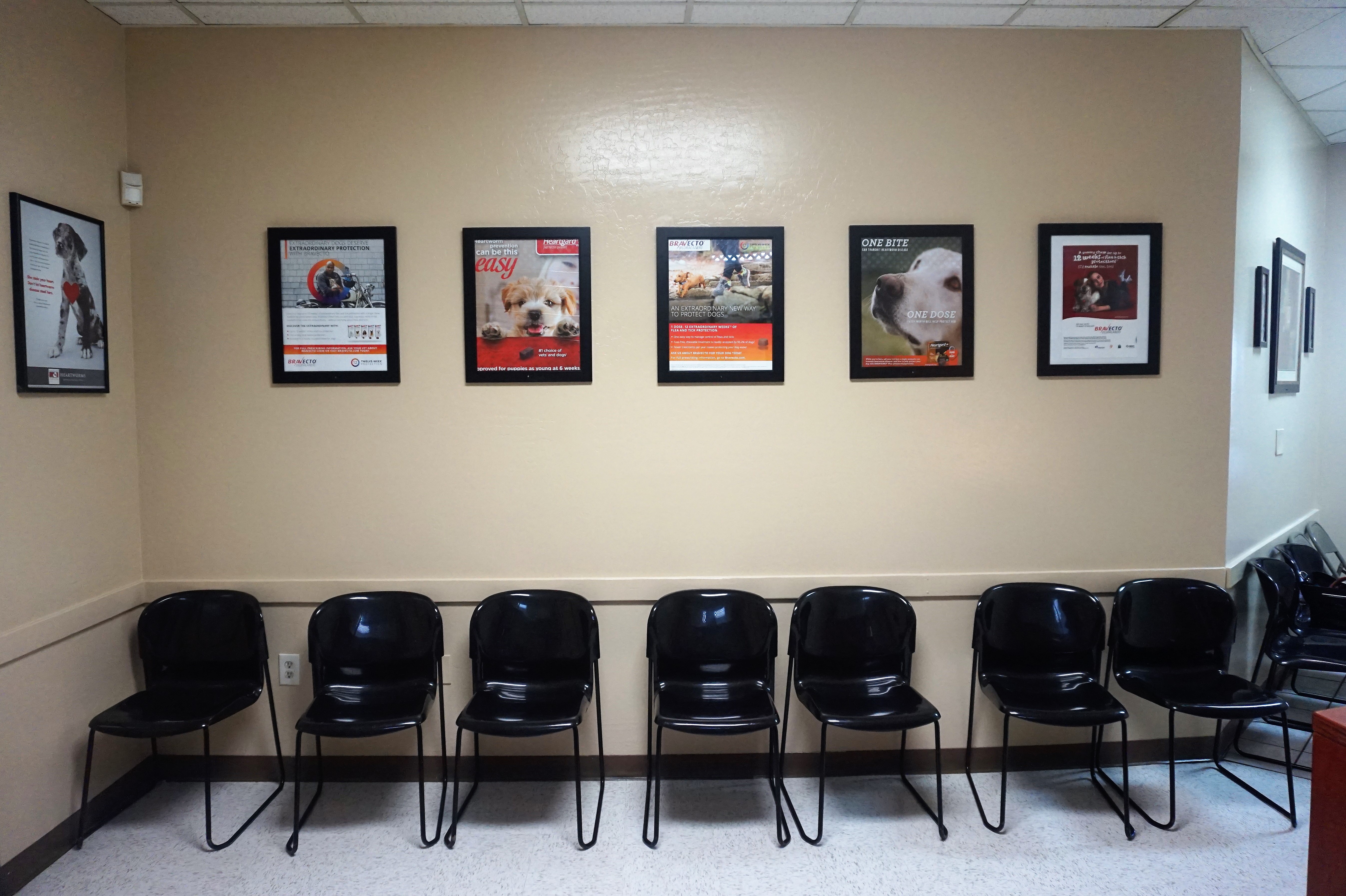 Spay Neuter Clinic Burlington Nc 07