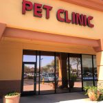 Spay Neuter Clinic: Chandler
